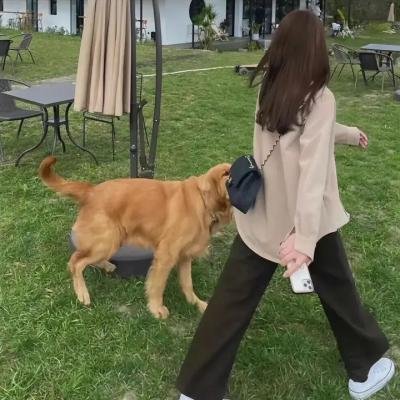 侏儒流氓